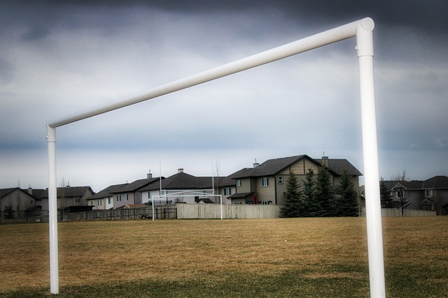 们在国际舞 们在国际舞