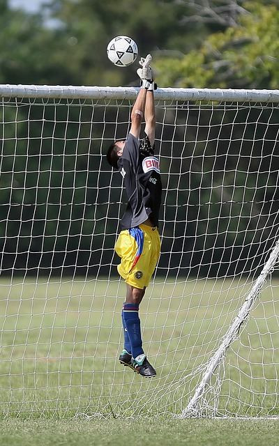 的出色表现 的出色表现