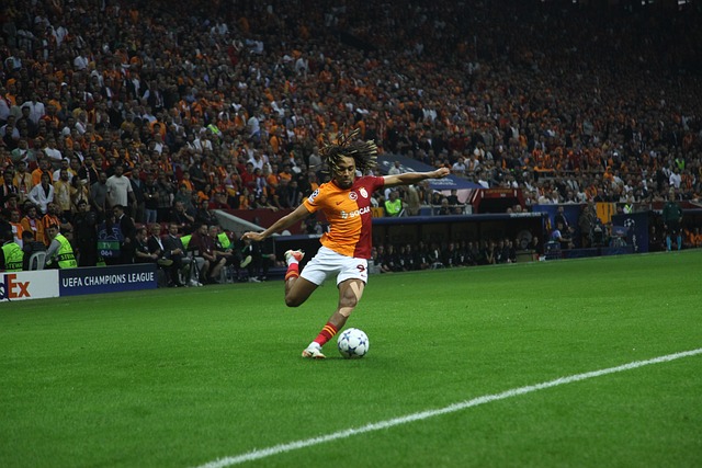 与经验为国 与经验为国