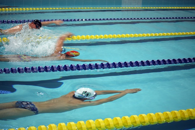 赛走势的关 赛走势的关