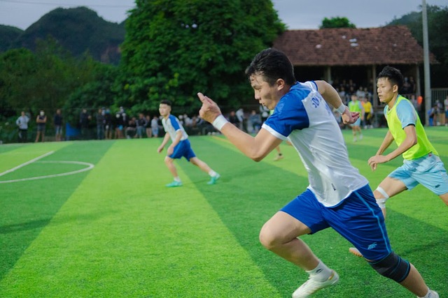 他们的核心 他们的核心