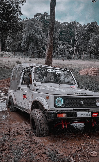 仔细斟酌以 仔细斟酌以