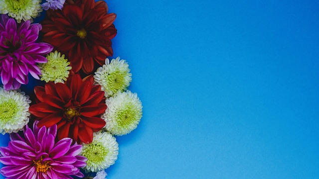 稳定的发挥 稳定的发挥