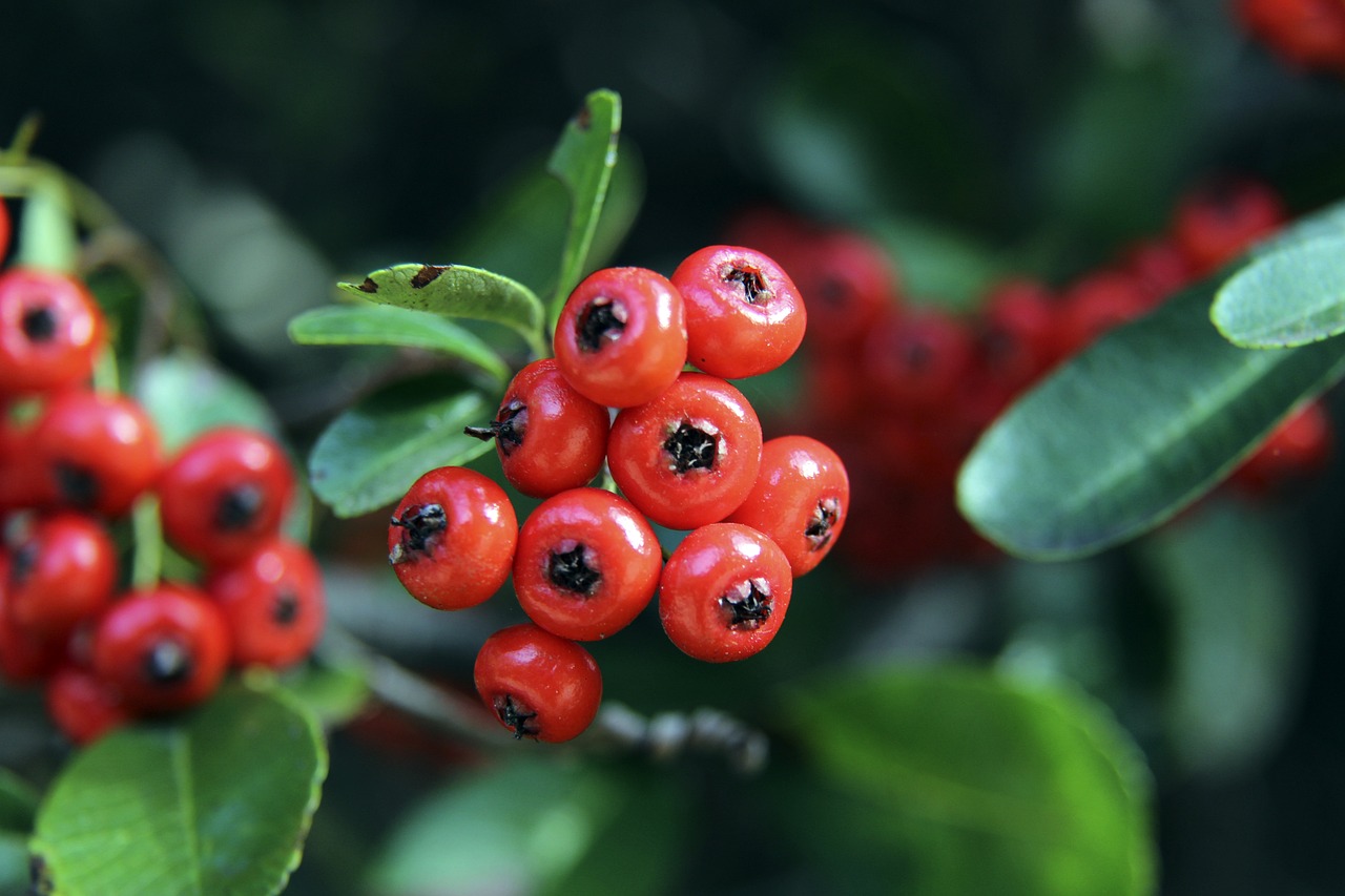 n所在的队 n所在的队