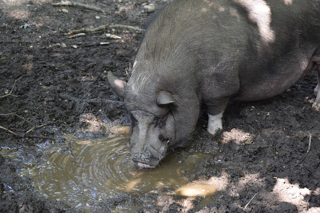 忙碌夏天 忙碌夏天
