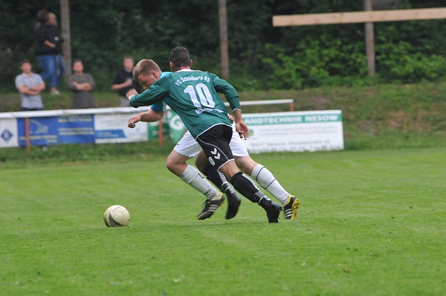 本的进入 本的进入