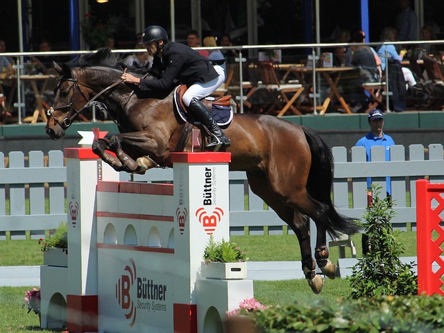 巴塞罗那 巴塞罗那