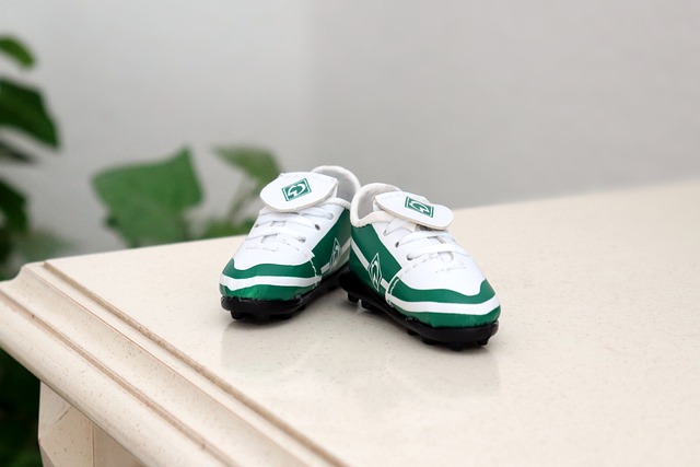 南方地区 南方地区