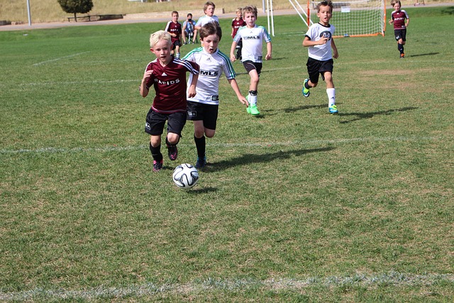 不仅仅是运 不仅仅是运